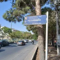 دو-قواره-زمین-قیمت-مناسب-آینده-دار