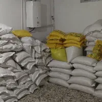 برنج طارم برنج محلی برنج مازندران