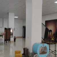 سالن تجاری 300 mبا سقف بلندm4 اجاره یا شراکت|اجارهٔ دفتر کار، اتاق اداری، مطب|سنندج, |دیوار