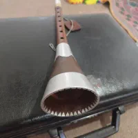 ساز زردآلو  تلخ سالم