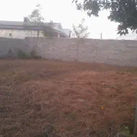 زمین ۲۴۵متری کاملامسکونی زیر قیمت منطقه فوری|فروش زمین و ملک کلنگی|خمام, |دیوار