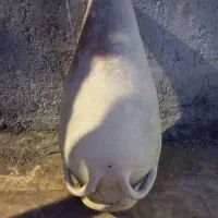 خوم