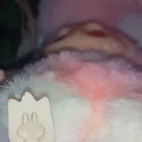 عروسک لبو‌‌‌بو|اسباب‌بازی بچه|جهرم, |دیوار