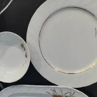 فرش سرویس چینی اسپیدار|ظروف سرو و پذیرایی|تهران, آشتیانی|دیوار