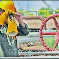 دنبال کار در ترکیه یا عراق هستم