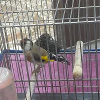 .سرگرمی فراغت