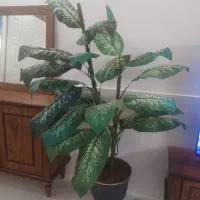 درخچه مصنوعی