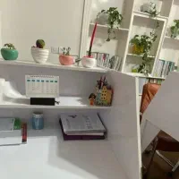 سالن مطالعه دخترانه لیان|خدمات آموزشی|مشهد, آزادشهر|دیوار