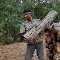 جویای کار درشهر تهران|خدمات پیشه و مهارت|ایوانکی, |دیوار