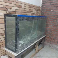 آکواریوم|ماهی|رباط‌کریم, رباط‌کریم|دیوار