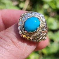 فیروژه عجمی نیشابور