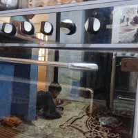 اجاق گاز|اجاق گاز و لوازم برقی پخت‌وپز|مشهد, پنجتن|دیوار