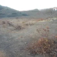 باغ و زمین انگور تفرجی|فروش زمین و ملک کلنگی|سبزوار, کراب|دیوار