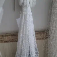 تور کولی(کولی)