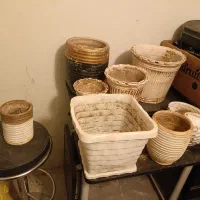 گلدان|گل و گیاه طبیعی|اصفهان, بهارستان|دیوار