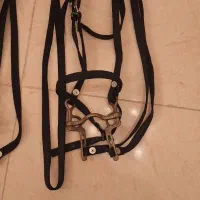 دهنه اسب قدیمی|اسب و تجهیزات اسب‌سواری|اردبیل, |دیوار