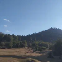 سلام. دنبال کار سرایداری وباغ هستم. بیکارم