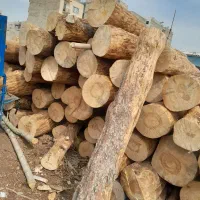خریدار چوب در محل