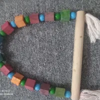 وسایل پرنده|لوازم جانبی حیوانات|مریوان, |دیوار