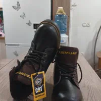 بوت یا کفش کاترپیلار|کیف، کفش، کمربند|اهواز, کمپلو شمالی|دیوار
