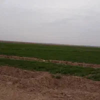 اجاره زمین کشاورزی