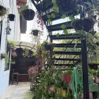 رهن و اجاره در چالوس شمال|اجارهٔ خانه و ویلا|چالوس, |دیوار