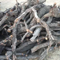 چوب بادام خشک|خدمات باغبانی و درختکاری|بروجرد, |دیوار