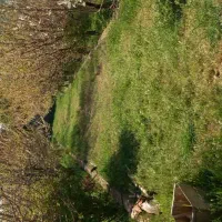 باغ 100متری در دالین|اجارهٔ خانه و ویلا|همایجان, |دیوار