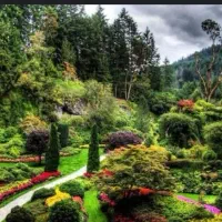 انجام کلیه امور کارهایه باغبانی باغچه