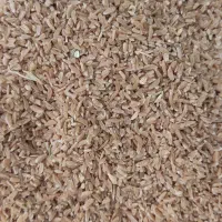 فروش بلغور تازه درجه یک