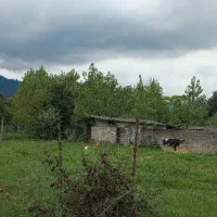 زمین 1500 متر.بافت روستایی.زمین کاملا مسکونی|فروش زمین و ملک کلنگی|گوراب زرمیخ, |دیوار