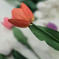 گل لاله|گل مصنوعی|اردبیل, |دیوار