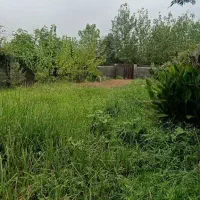 زمین باغی در کوی مهتاب