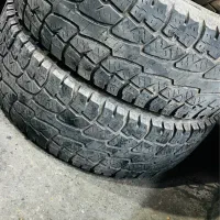 لاستیک پاترول