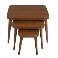 نیروی کارساده  اقا