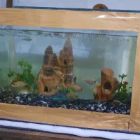 اکواریوم با ماهی