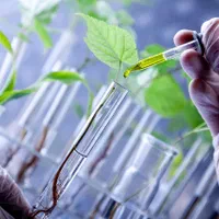 استخدام گیاه‌پزشک متخصص در کلینیک کشاورزی معتبر