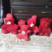 خرس مهربون پولیشی ۴تاباهم ۲۰۰ هزارتومن