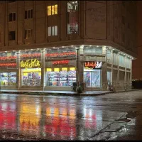 مدیر مالی و فروش . منشی .حسابدار . ویزیتور . کارگر