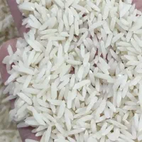 برنج|خوردنی و آشامیدنی|مشهد, بهارستان|دیوار