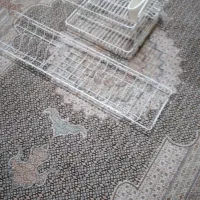 آبچکان|آب‌چکان و نظم‌دهنده ظروف|اردبیل, |دیوار