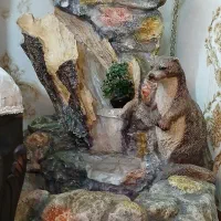 ابنما خانگی