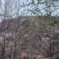 سوئیت آپارتمان|اجارهٔ آپارتمان|شاندیز, |دیوار