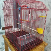 قفس|لوازم جانبی حیوانات|رشت, کوی مهر|دیوار