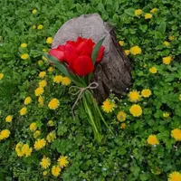 اجاره روزانه دهبالا طرزجان سانیج منشاد مهریز زارچ