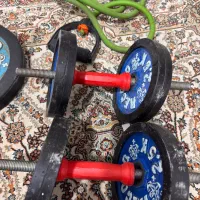دمبل و صفحه و کش ورزشی