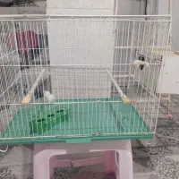 قفس با لونه کوتوله|لوازم جانبی حیوانات|اردکان, |دیوار