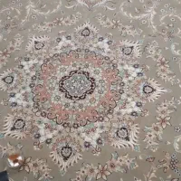 فرش زربافت خراسان ۵۰۰ شانه تراکم ۳۰۰۰|فرش|تربت‌حیدریه, سیلوی گندم|دیوار