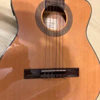 گیتار کلاسیک سالوادور ایبانز