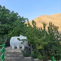 فروش زمین و باغ گیلاس|فروش زمین و ملک کلنگی|کن, |دیوار